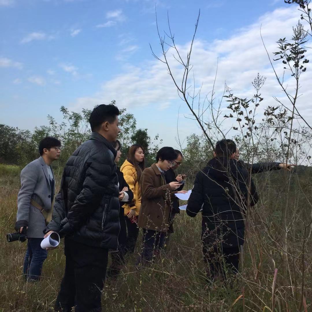 1543375291869777.jpg 123.jpg