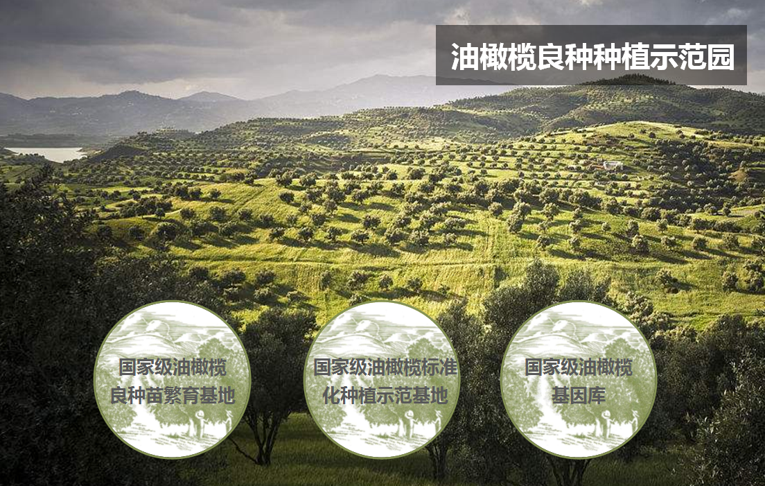 1543888640369819.png TIM截圖20181204095714.png