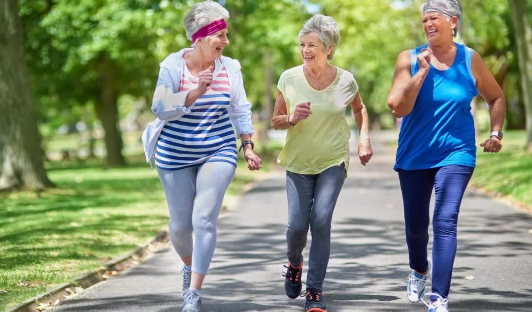 1552445579174383.jpg 640.webp.jpg