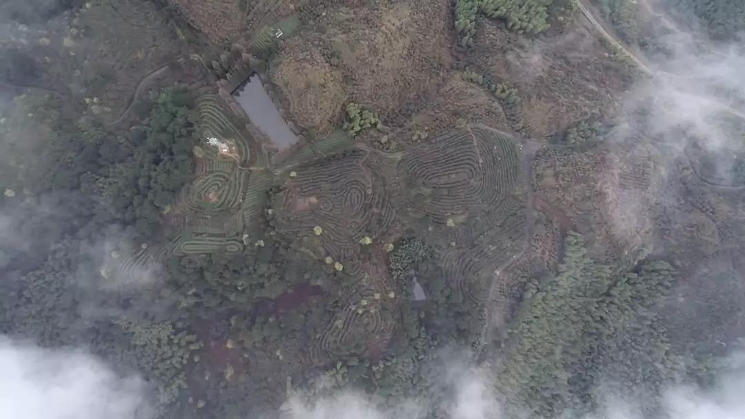 1552894304110223.jpg 茶山竹海準(zhǔn)備出發(fā)——重慶永川4.jpg