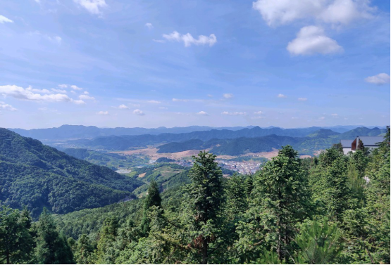 1607306200452374.png 圖片3.png